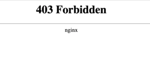 Nginx error on Client Portal